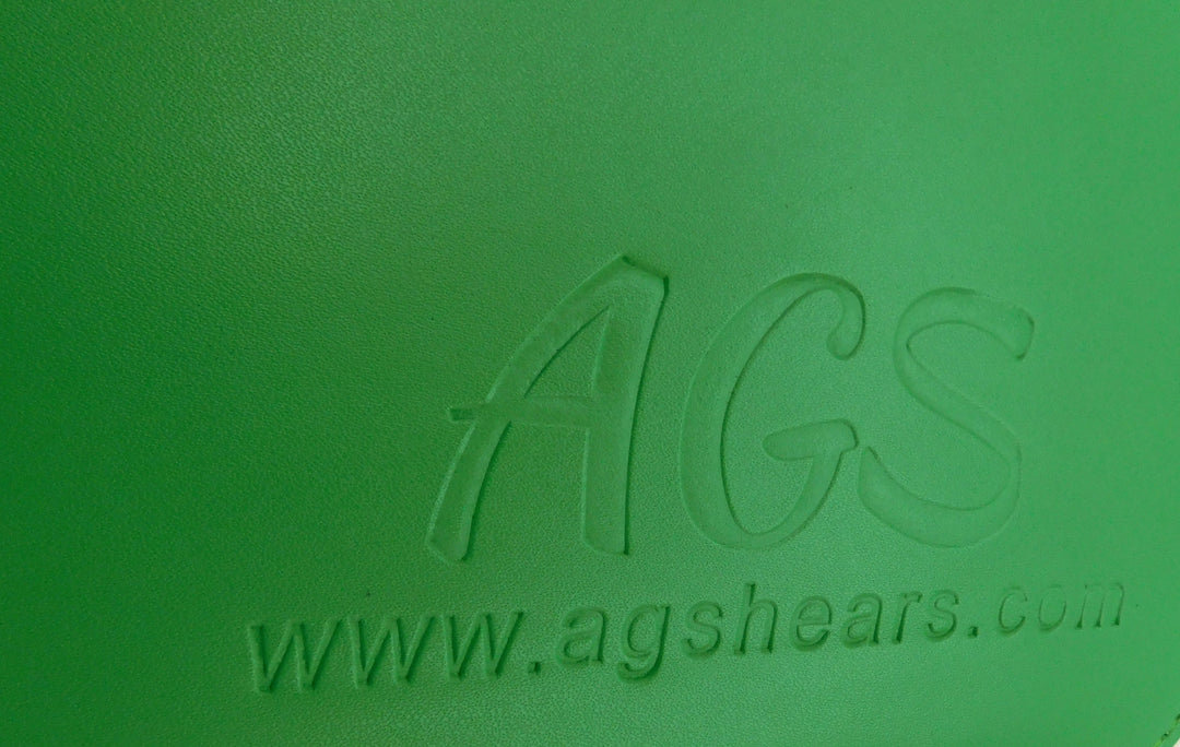 AGS Logo 10 Scissor & 3 Comb Zipper Case