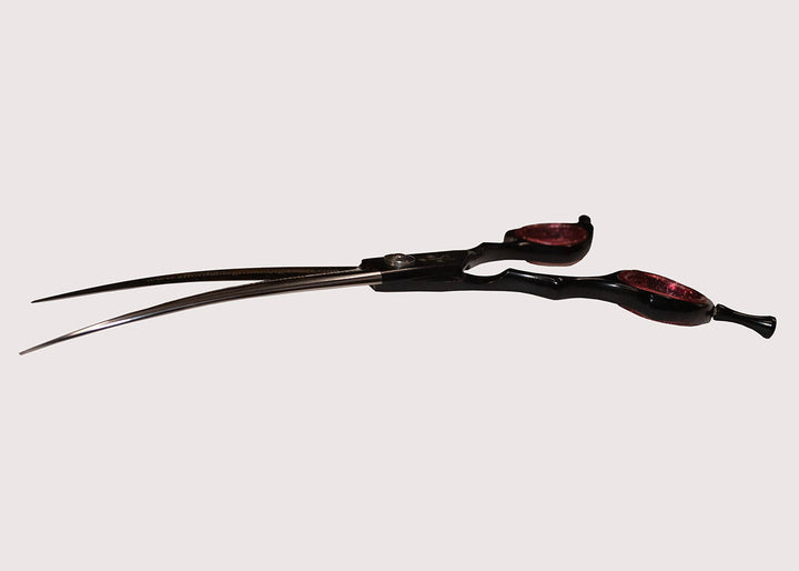 Ninja Star Curve 6.5"
