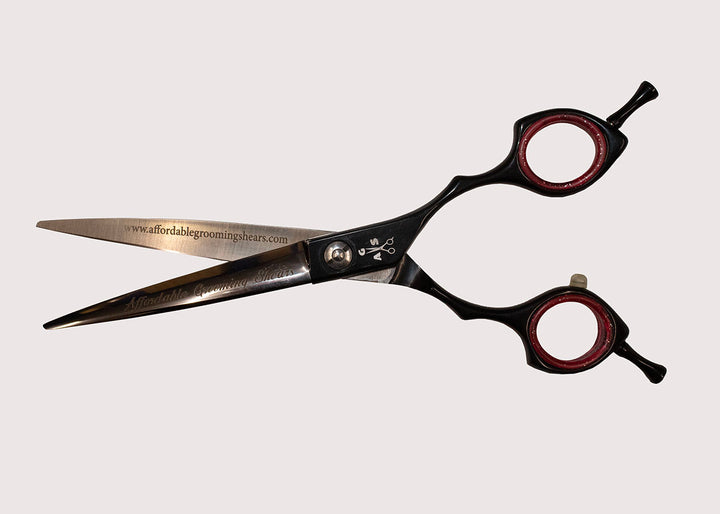 Ninja Star Curve 6.5"
