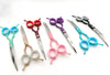 Ninja Star Curve 6.5"