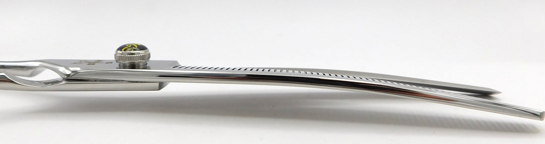 AGS Hornbill 8" 60T Curved Thinner LEFTY