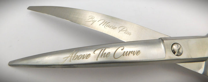 Macie Pisa Above the Curve