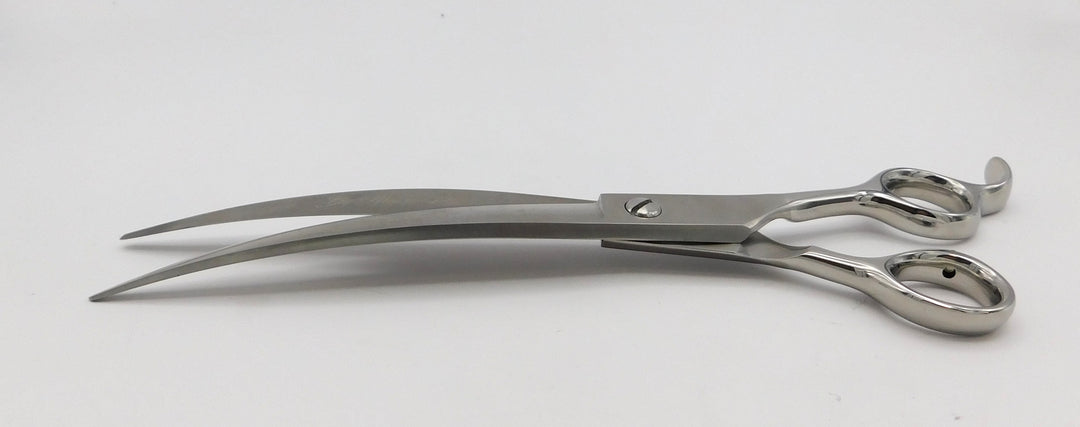 Macie Pisa Brave Curve