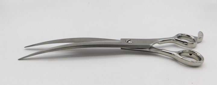 Macie Pisa Brave Curve